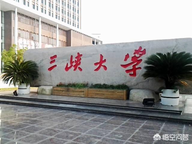 三峡大学毕业生就业情况怎么样？w1.jpg