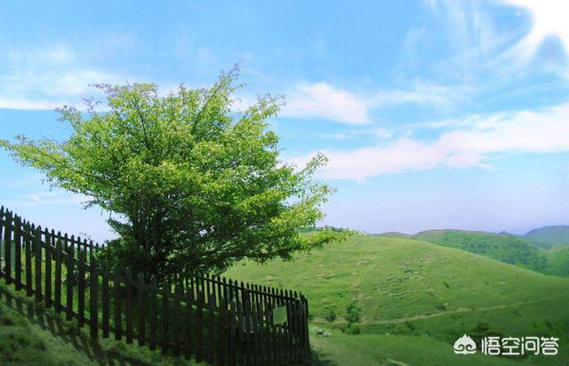 想去宜昌及周边景区，有哪些旅游攻略吗？w2.jpg