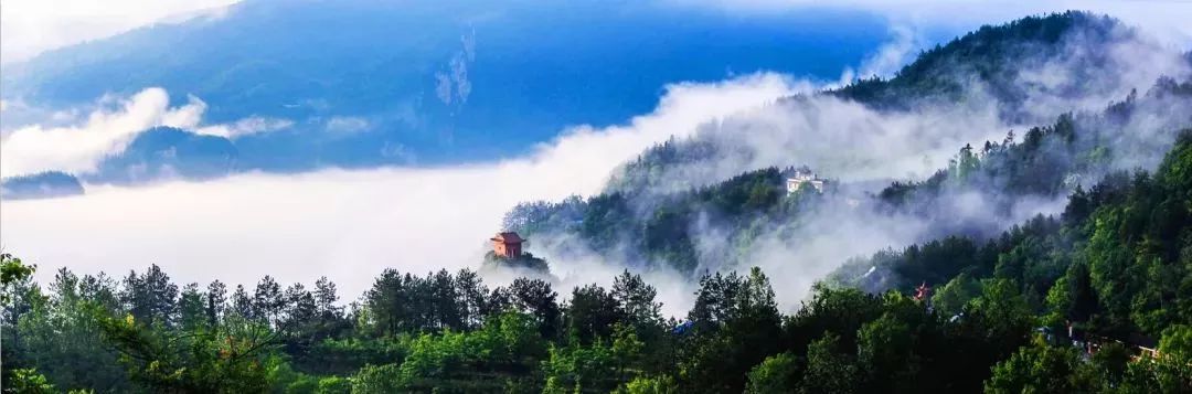 三峡乡村旅游“三十佳景区景点”和“二十佳精品线路”出炉,野三关森林花海上榜w9.jpg