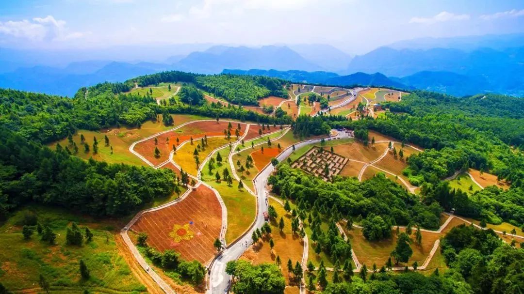 三峡乡村旅游“三十佳景区景点”和“二十佳精品线路”出炉,野三关森林花海上榜w11.jpg