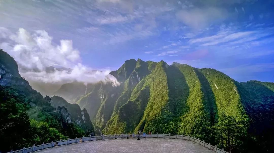 三峡乡村旅游“三十佳景区景点”和“二十佳精品线路”出炉,野三关森林花海上榜w12.jpg