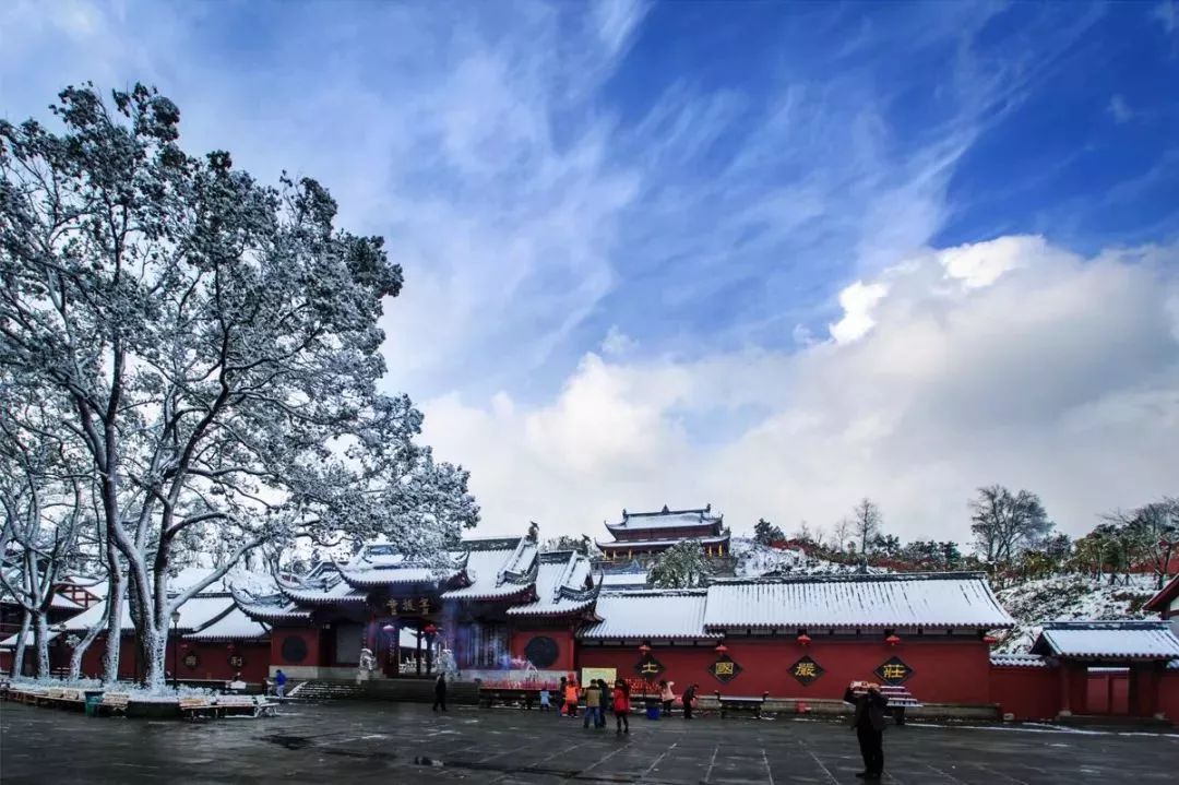 三峡乡村旅游“三十佳景区景点”和“二十佳精品线路”出炉,野三关森林花海上榜w17.jpg