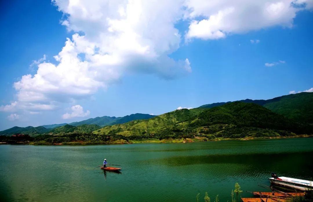 三峡乡村旅游“三十佳景区景点”和“二十佳精品线路”出炉,野三关森林花海上榜w21.jpg