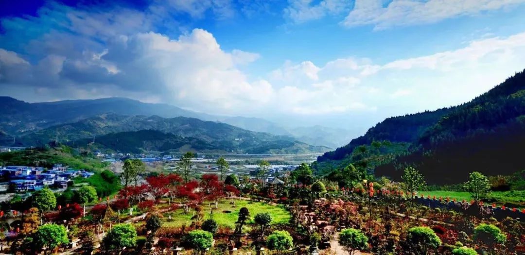 三峡乡村旅游“三十佳景区景点”和“二十佳精品线路”出炉,野三关森林花海上榜w24.jpg