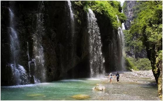 三峡乡村旅游“三十佳景区景点”和“二十佳精品线路”出炉,野三关森林花海上榜w30.jpg