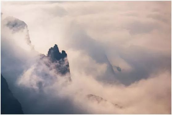 三峡乡村旅游“三十佳景区景点”和“二十佳精品线路”出炉,野三关森林花海上榜w29.jpg