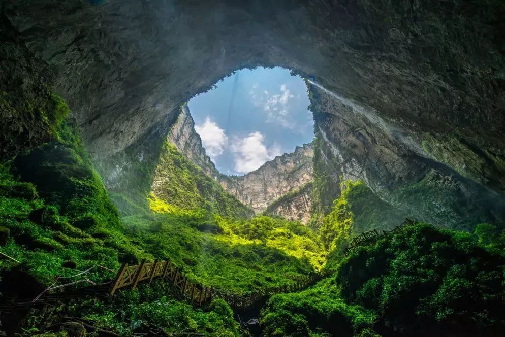 三峡乡村旅游“三十佳景区景点”和“二十佳精品线路”出炉,野三关森林花海上榜w28.jpg