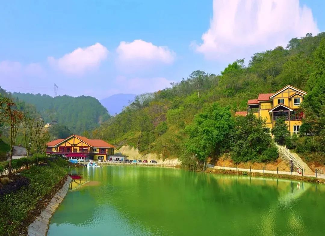 三峡乡村旅游“三十佳景区景点”和“二十佳精品线路”出炉,野三关森林花海上榜w35.jpg