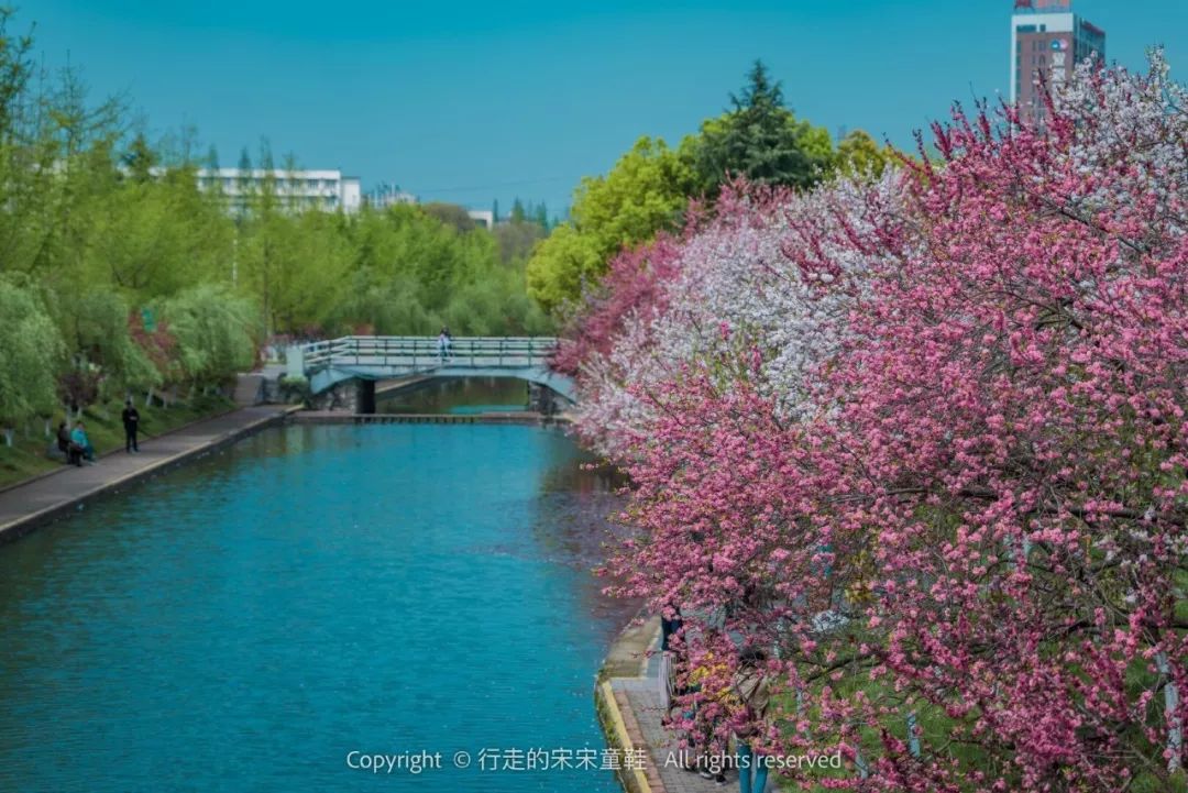 这里是宜昌,中国地级市城市品牌影响力「百强」!w41.jpg