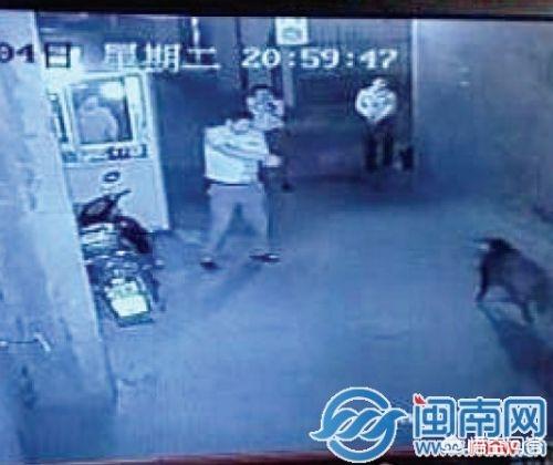 为什么鸣枪示警是向天上开枪，向地面开枪不行吗？w3.jpg