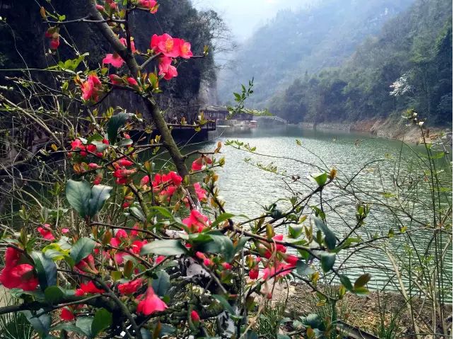 2018年宜昌旅行清单,在最好的时间遇见最美的风景!w44.jpg