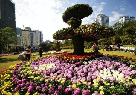 2018年宜昌旅行清单,在最好的时间遇见最美的风景!w55.jpg