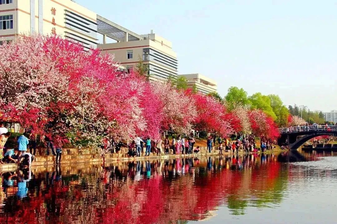 官宣!三峡大学办学100年暨本科教育45周年一号公告w41.jpg