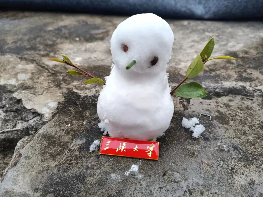 三峡大学的这场雪,你已经等很久了吧?w10.jpg