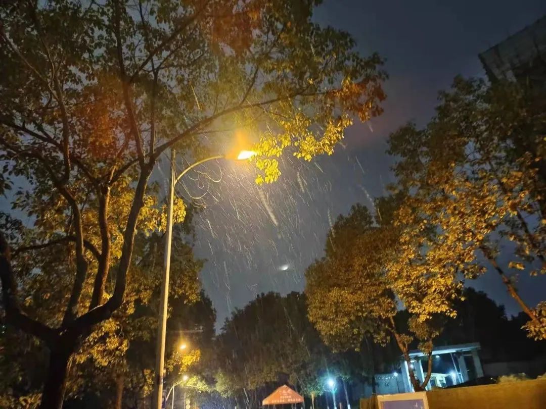 三峡大学的这场雪,你已经等很久了吧?w9.jpg