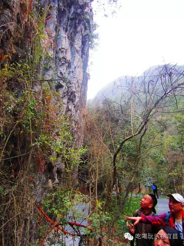 三峡奇谈—奇潭告诉你试营业的景区如何在一天卖出12万+的门票w42.jpg