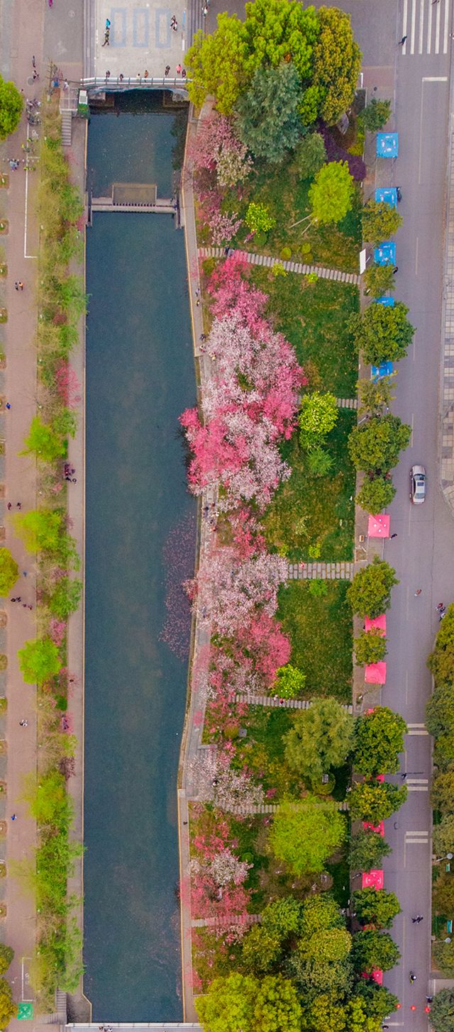 即将重燃!三峡大学桃花节回来啦!w26.jpg