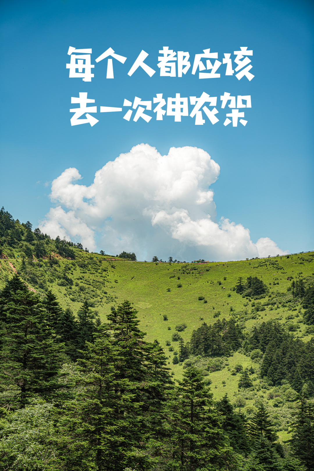 湖北全景精华游~长江三峡游船、三峡大坝、黄鹤楼、荆州古城、三峡大瀑布、神农架天生桥、恩施大峡谷云龙河地缝、梭布亚石林、女儿城七天w10.jpg