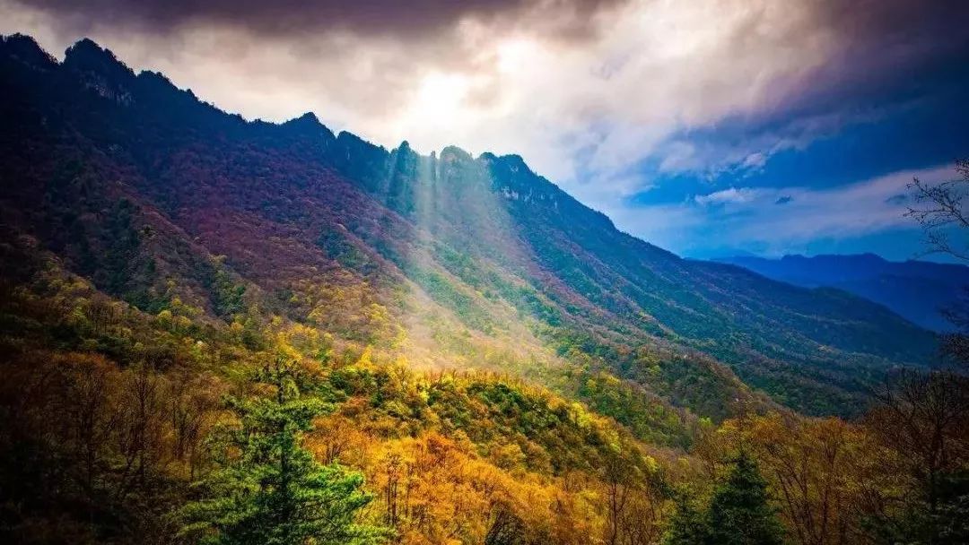 湖北全景精华游~长江三峡游船、三峡大坝、黄鹤楼、荆州古城、三峡大瀑布、神农架天生桥、恩施大峡谷云龙河地缝、梭布亚石林、女儿城七天w48.jpg