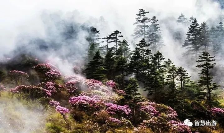 5月6日-11日神农架六大景区+小三峡、万州第一大瀑布、白帝城、云阳张飞庙,六日赏红叶游w16.jpg