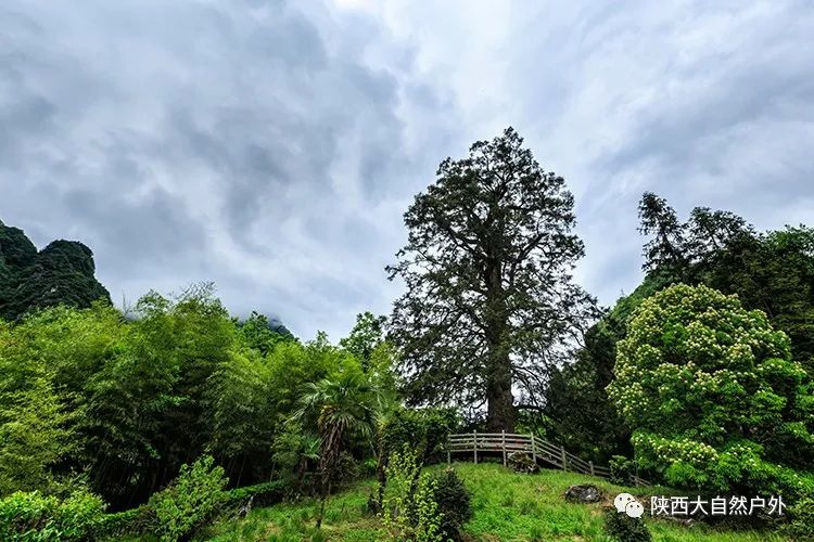 5月6日-11日神农架六大景区+小三峡、万州第一大瀑布、白帝城、云阳张飞庙,六日赏红叶游w19.jpg