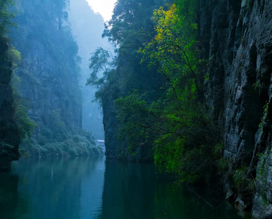 赛马比拼看旅游 | 立体交通带火三峡游w22.jpg