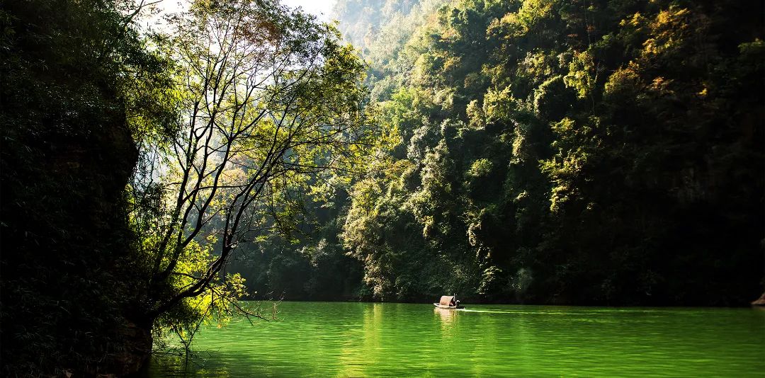 赛马比拼看旅游 | 立体交通带火三峡游w40.jpg