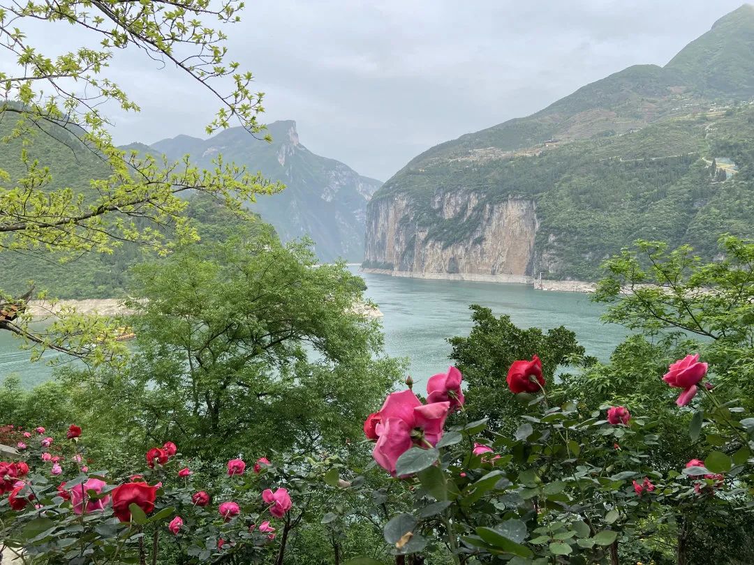 包下游轮游三峡!7天6夜200多位粉丝的狂欢,这么舒服的旅行再给我来一打吧!w44.jpg