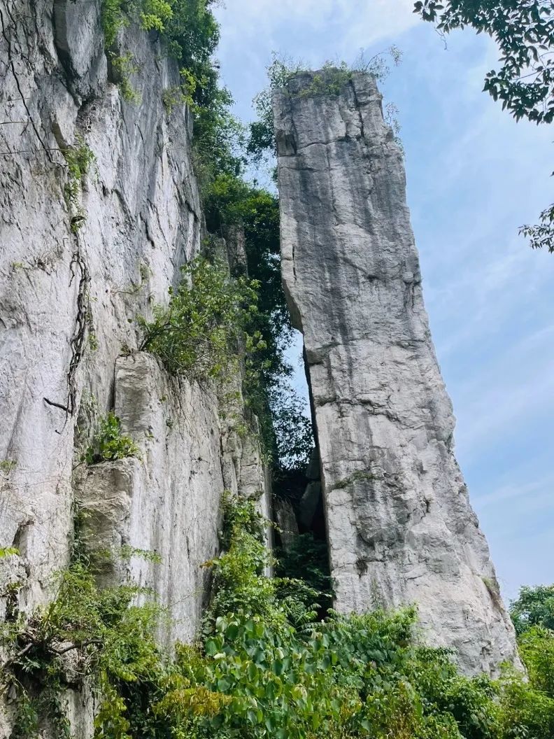 想了解三峡游轮,千万不要错过这篇总统游轮的游记!w56.jpg