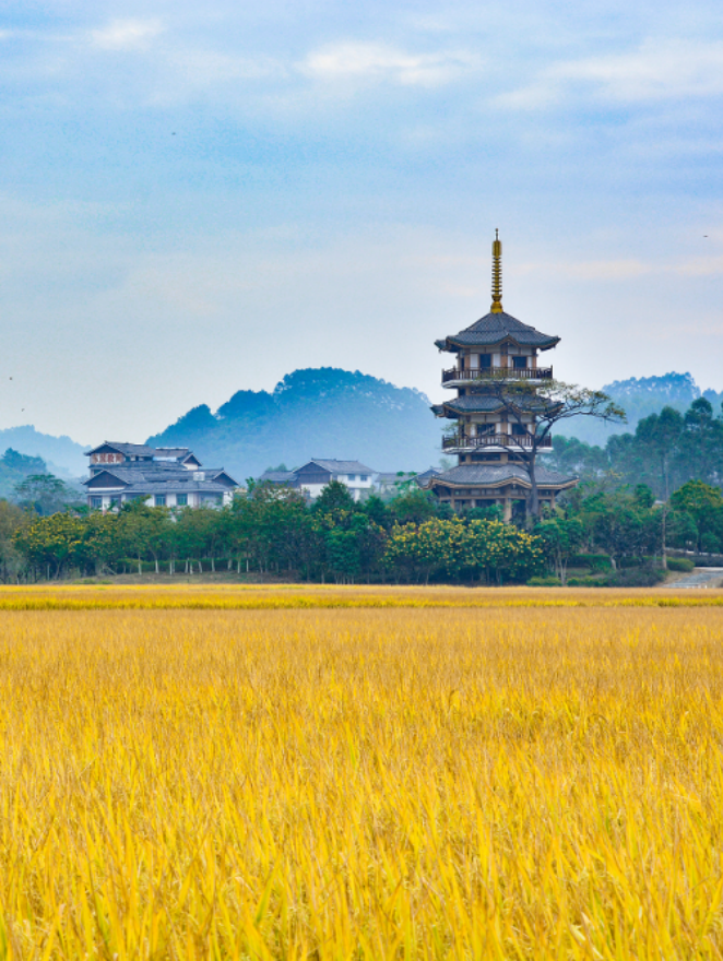 走进广西“桃花源”!这4条乡村野趣旅游精品线路快收藏w37.jpg