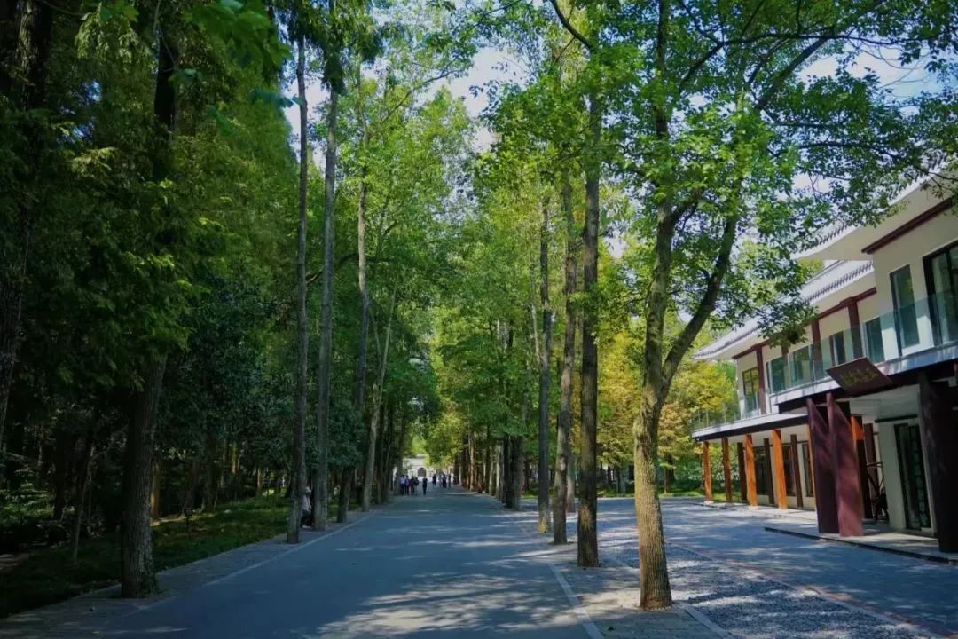 “五一”假期,宜昌景区超多福利!w113.jpg