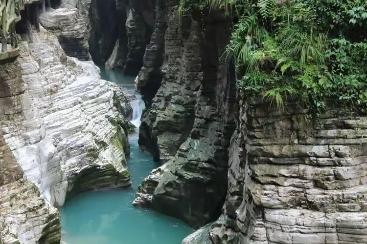 下个季节——我在青山绿水间等你(2025)w36.jpg