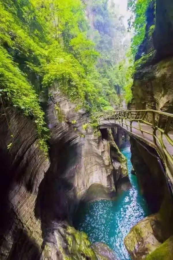 下个季节——我在青山绿水间等你(2025)w39.jpg