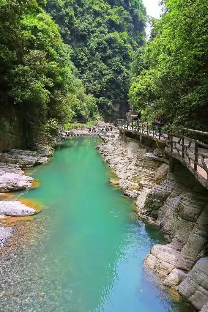 下个季节——我在青山绿水间等你(2025)w43.jpg