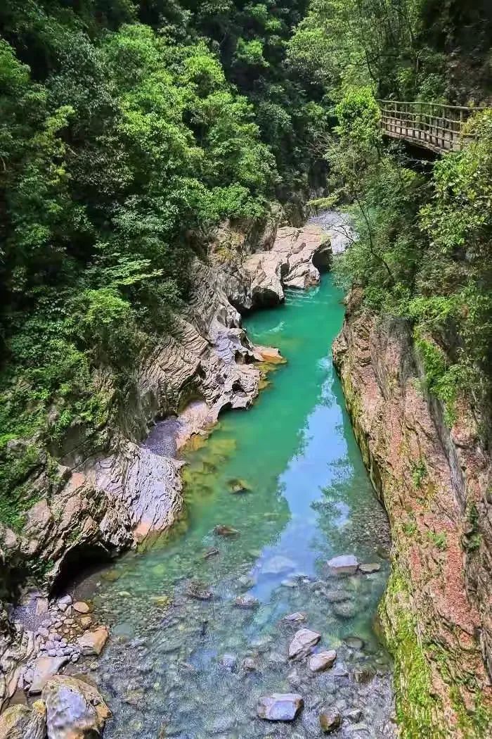 下个季节——我在青山绿水间等你(2025)w44.jpg