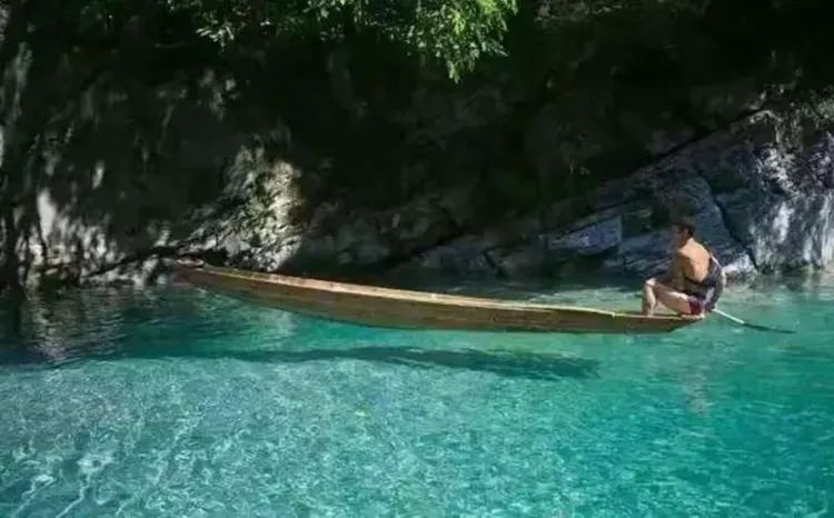 下个季节——我在青山绿水间等你(2025)w56.jpg