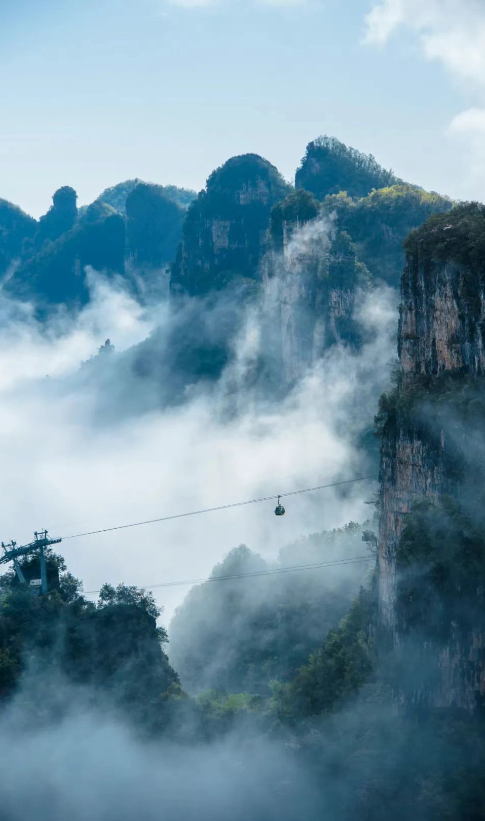 宜昌旅游年卡,带你玩转假期!免费!免费!免费!9453 作者:小雨敲窗y 帖子ID:11001 