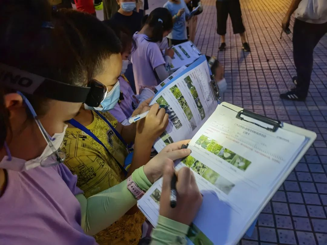 2025年华林小学线上校园开放日w141.jpg