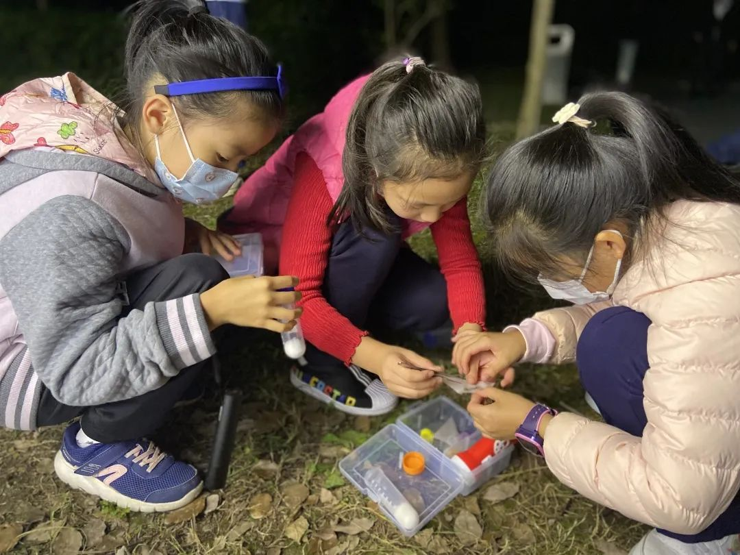 2025年华林小学线上校园开放日w142.jpg