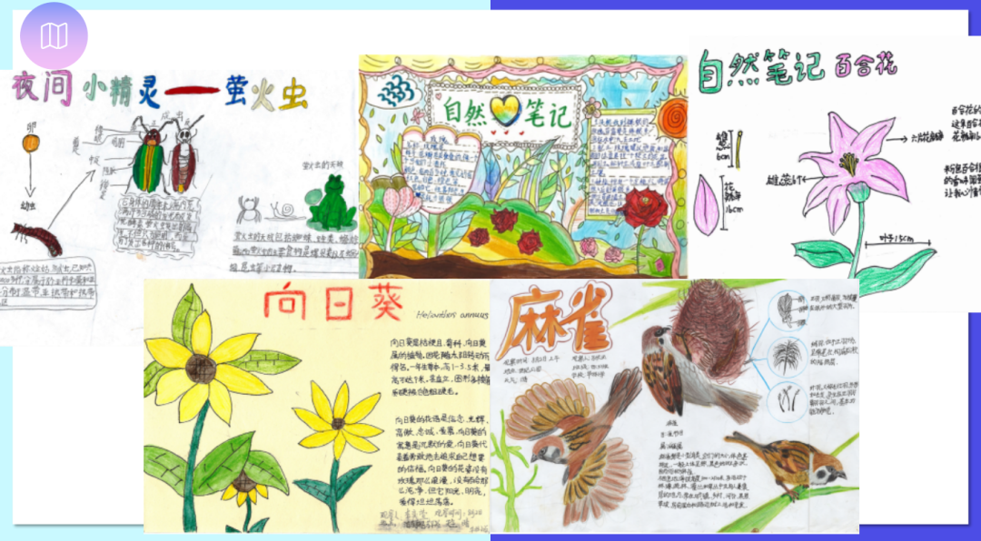 2025年华林小学线上校园开放日w147.jpg