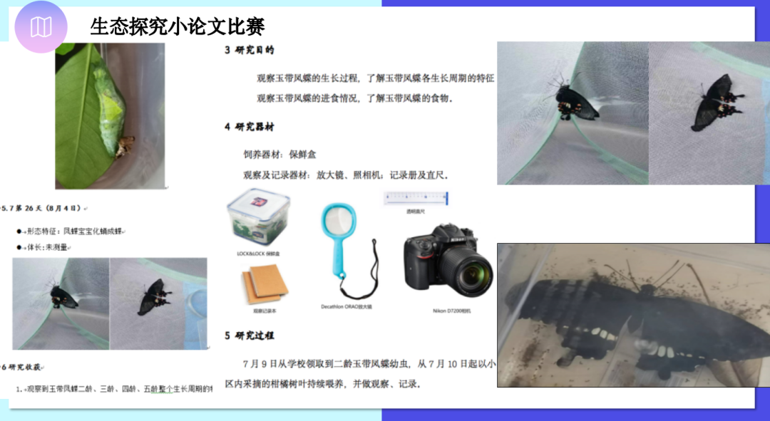 2025年华林小学线上校园开放日w148.jpg