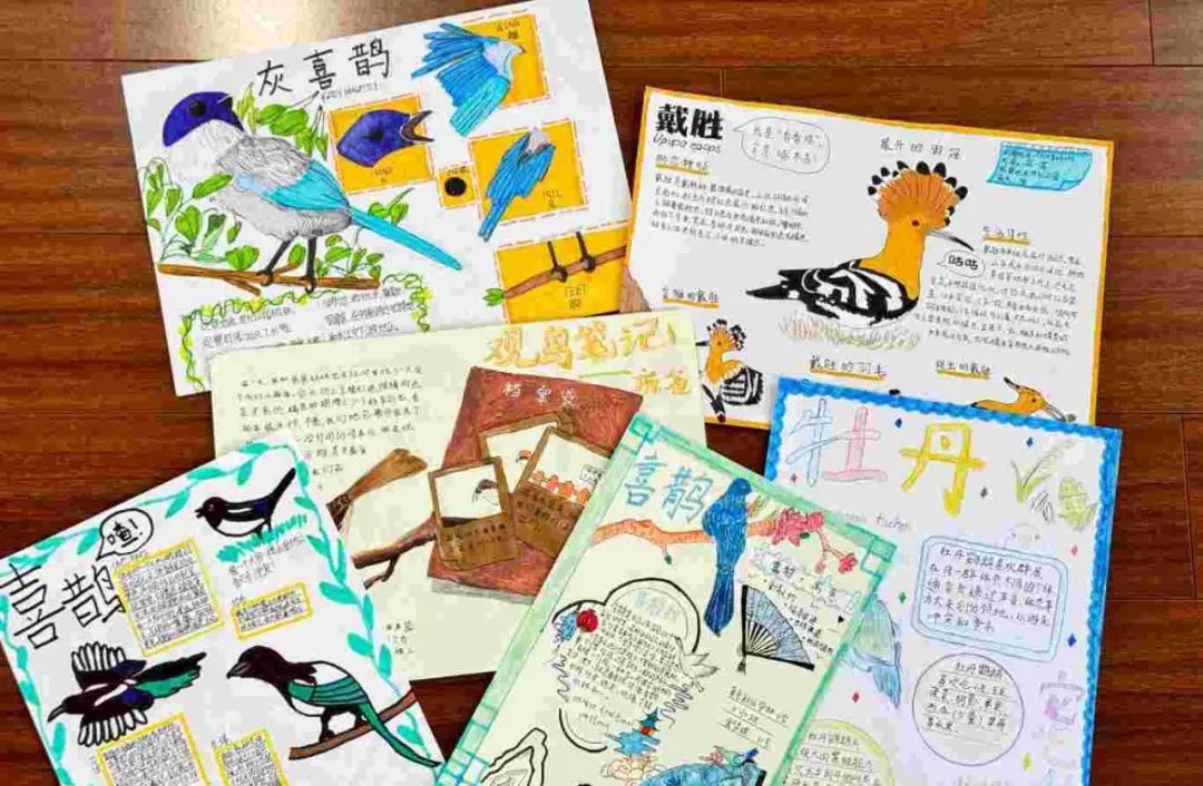 2025年华林小学线上校园开放日w156.jpg
