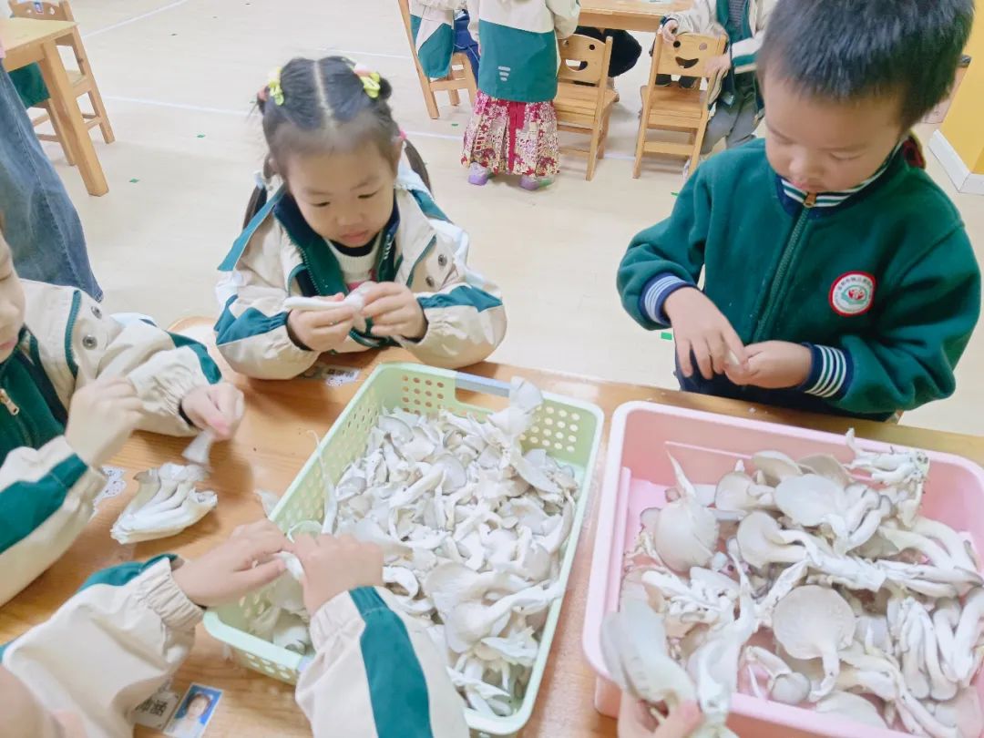 宜都市锦江幼儿园2025年秋季新生学位预定开始啦w34.jpg