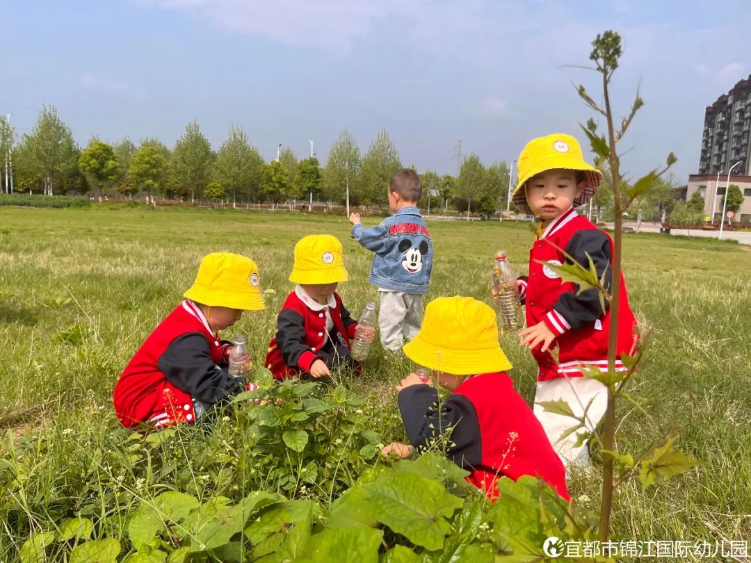 宜都市锦江幼儿园2025年秋季新生学位预定开始啦w43.jpg