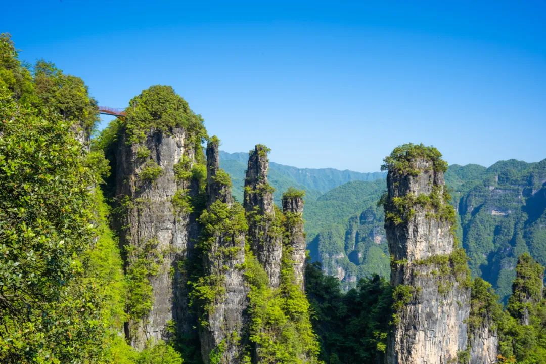 五一去哪儿玩?宜昌这些景区有福利活动哦!五一黄金周宜昌周边自驾游好去处!五一宜昌自驾游优惠/免费景点1956 作者:我是的十八簿 帖子ID:11748 