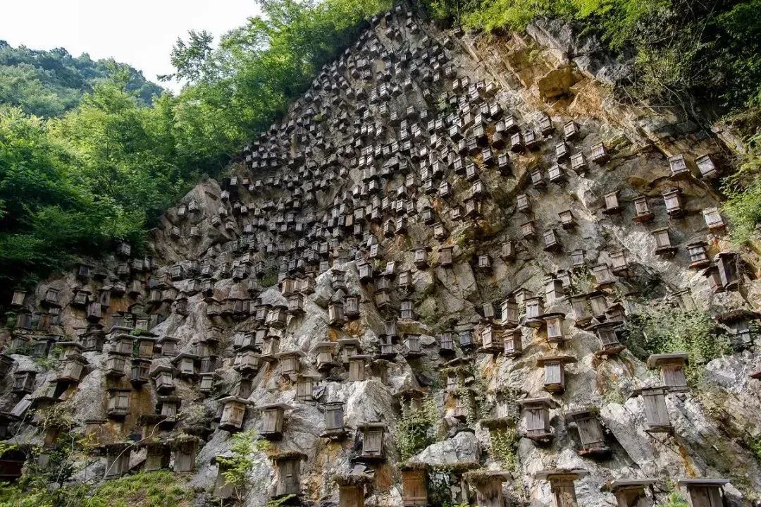 【文旅补贴800元/车】1元畅游神农架 | 车船同行•自驾三峡•探秘神农 | 轻奢自驾/拼车5日游……更多自驾私询w32.jpg