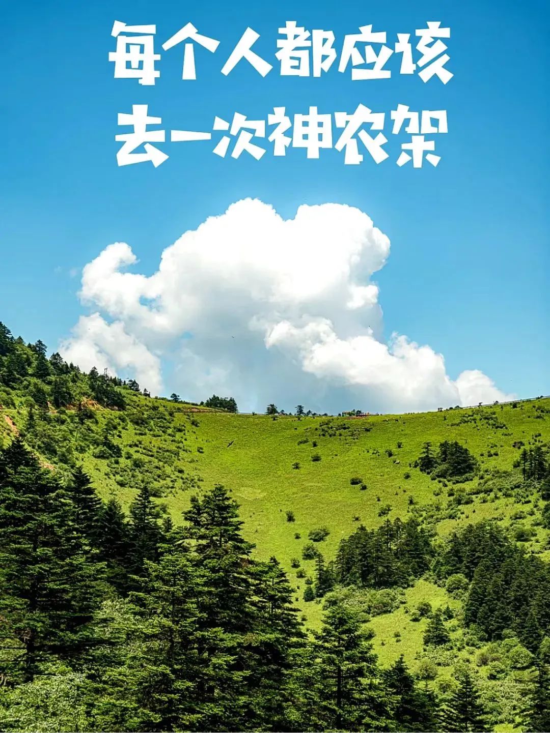 【文旅补贴800元/车】1元畅游神农架 | 车船同行•自驾三峡•探秘神农 | 轻奢自驾/拼车5日游……更多自驾私询w52.jpg