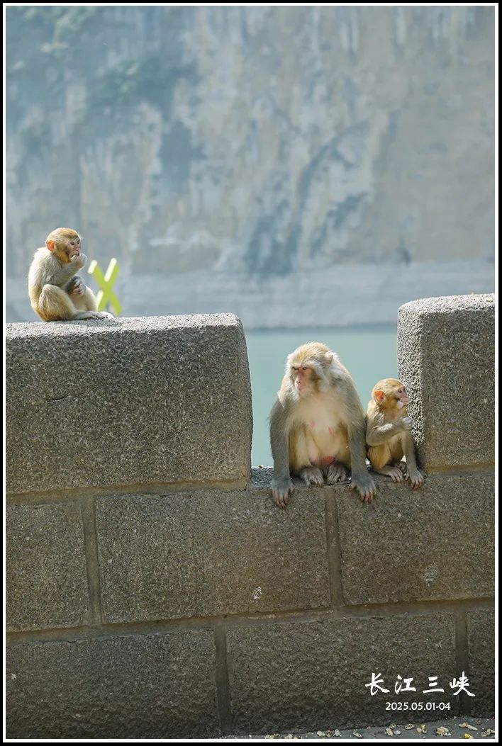 2025 | 火了千年的长江三峡,一路走来一路诗w36.jpg