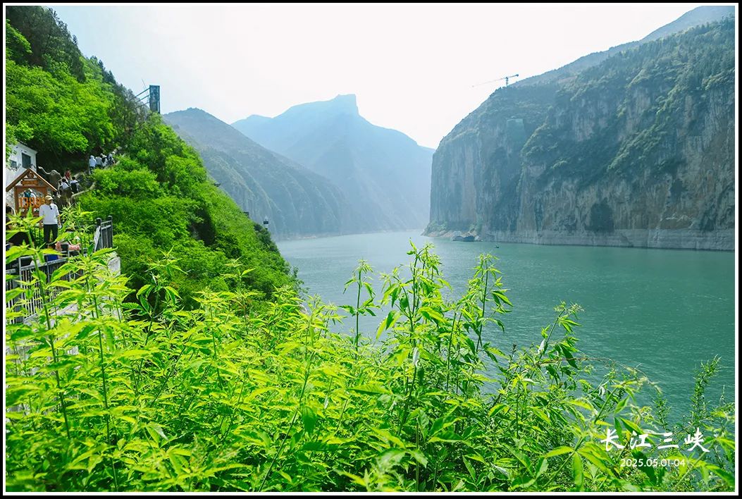 2025 | 火了千年的长江三峡,一路走来一路诗w35.jpg