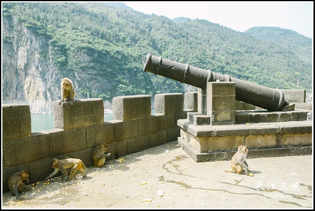 2025 | 火了千年的长江三峡,一路走来一路诗w37.jpg